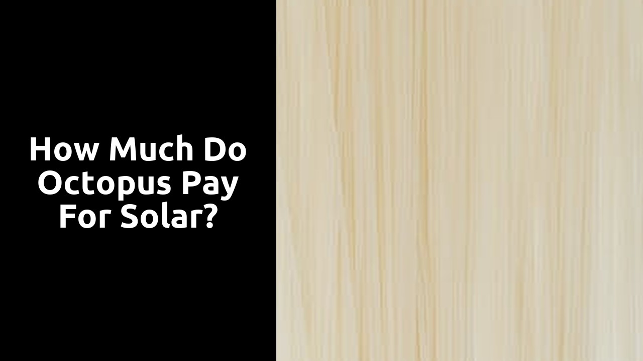 How much do octopus pay for solar?
