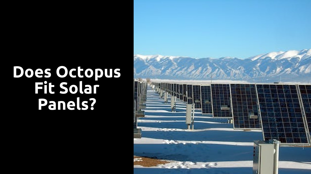 Does octopus fit solar panels?
