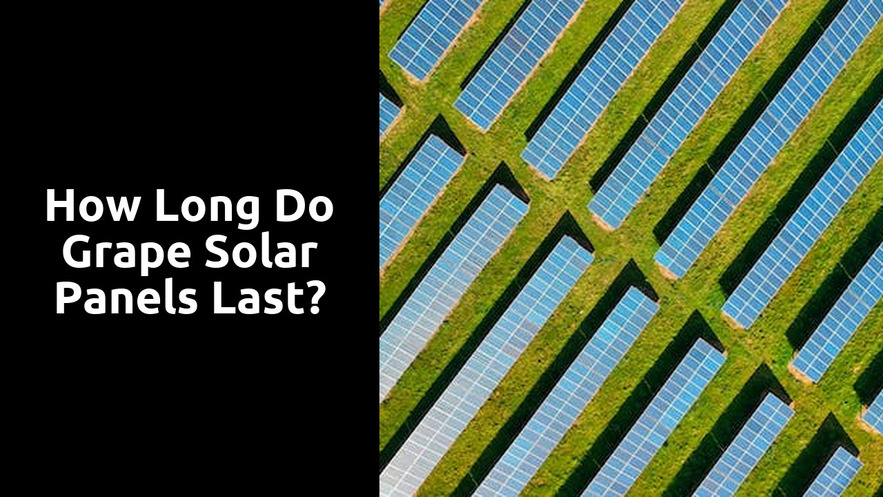 How long do grape solar panels last?