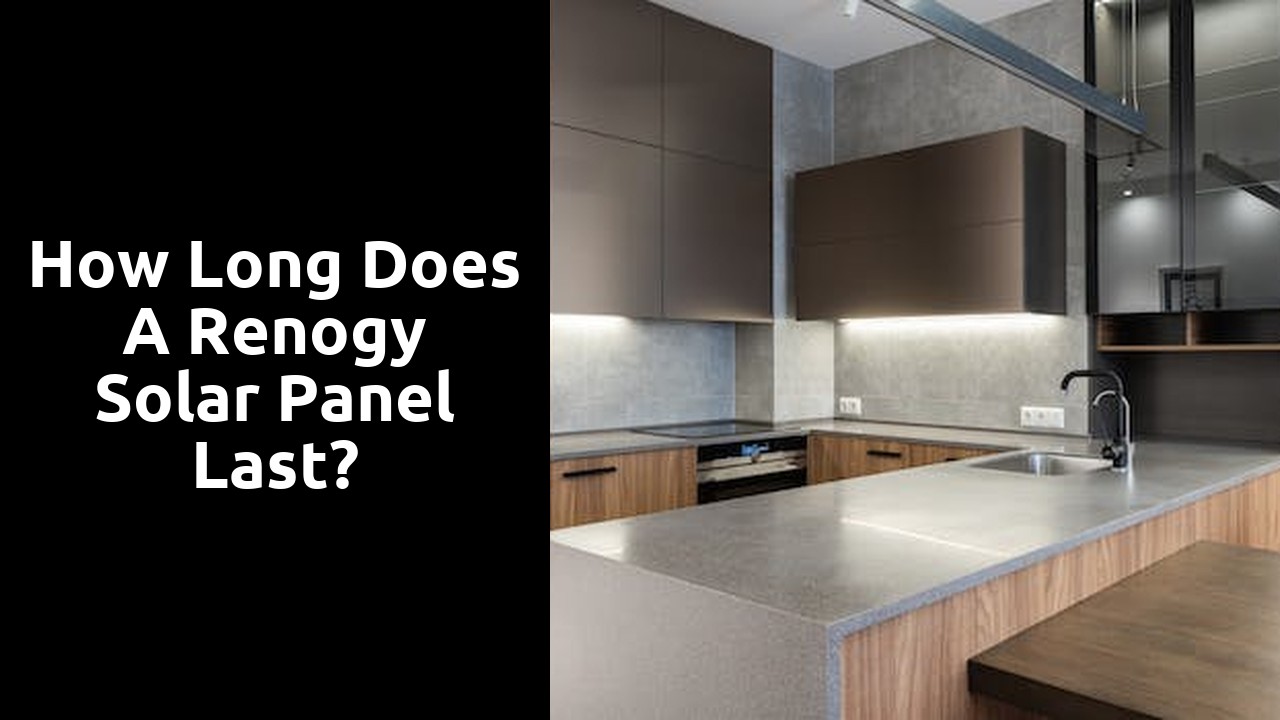How long does a Renogy solar panel last?